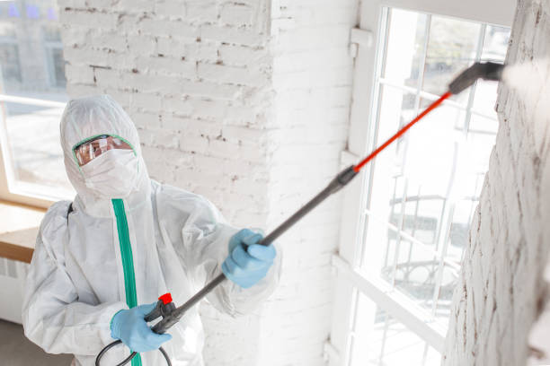 Best Forensic Mold Investigation  in Elleale, ND