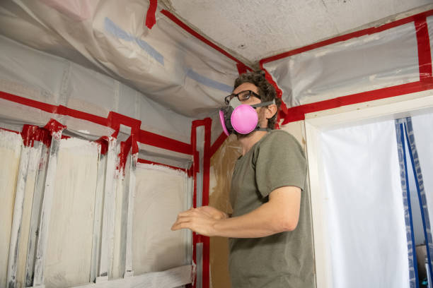 Ellendale, ND Mold Inspection, Removal & Remediation Company