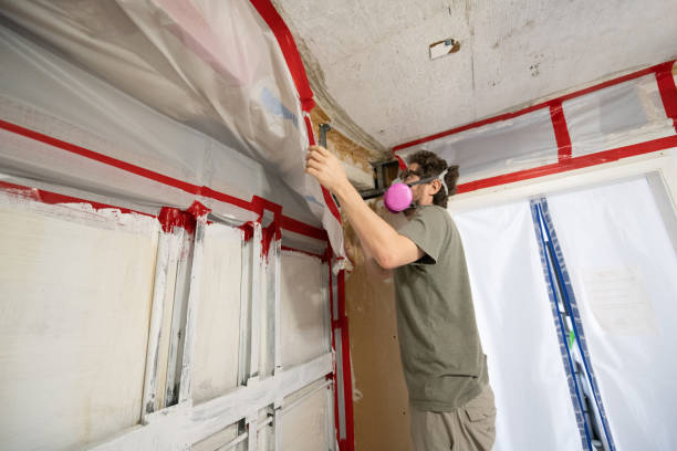 Best Emergency Mold Remediation  in Elleale, ND